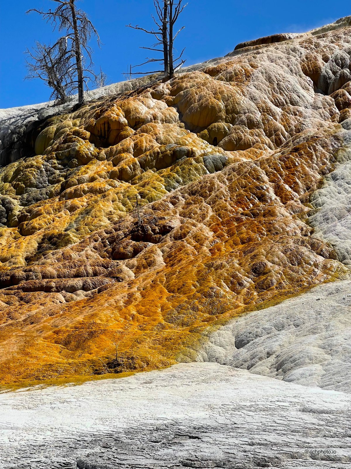 Travertine terraces at Mammoth Hot Springs, Yellowstone