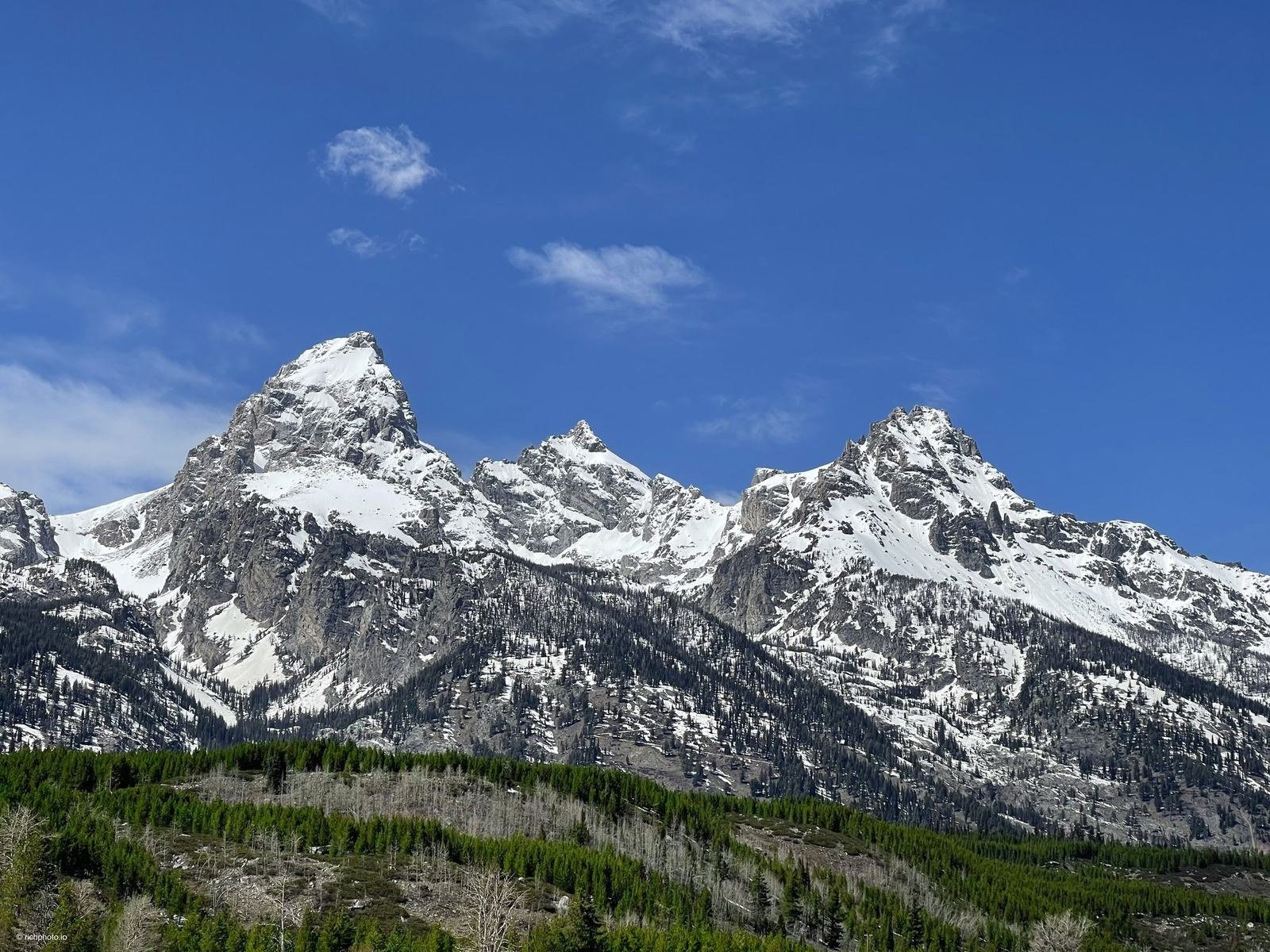 Aspens and Teton peaks from Teton Park Road, Grand Teton National Park