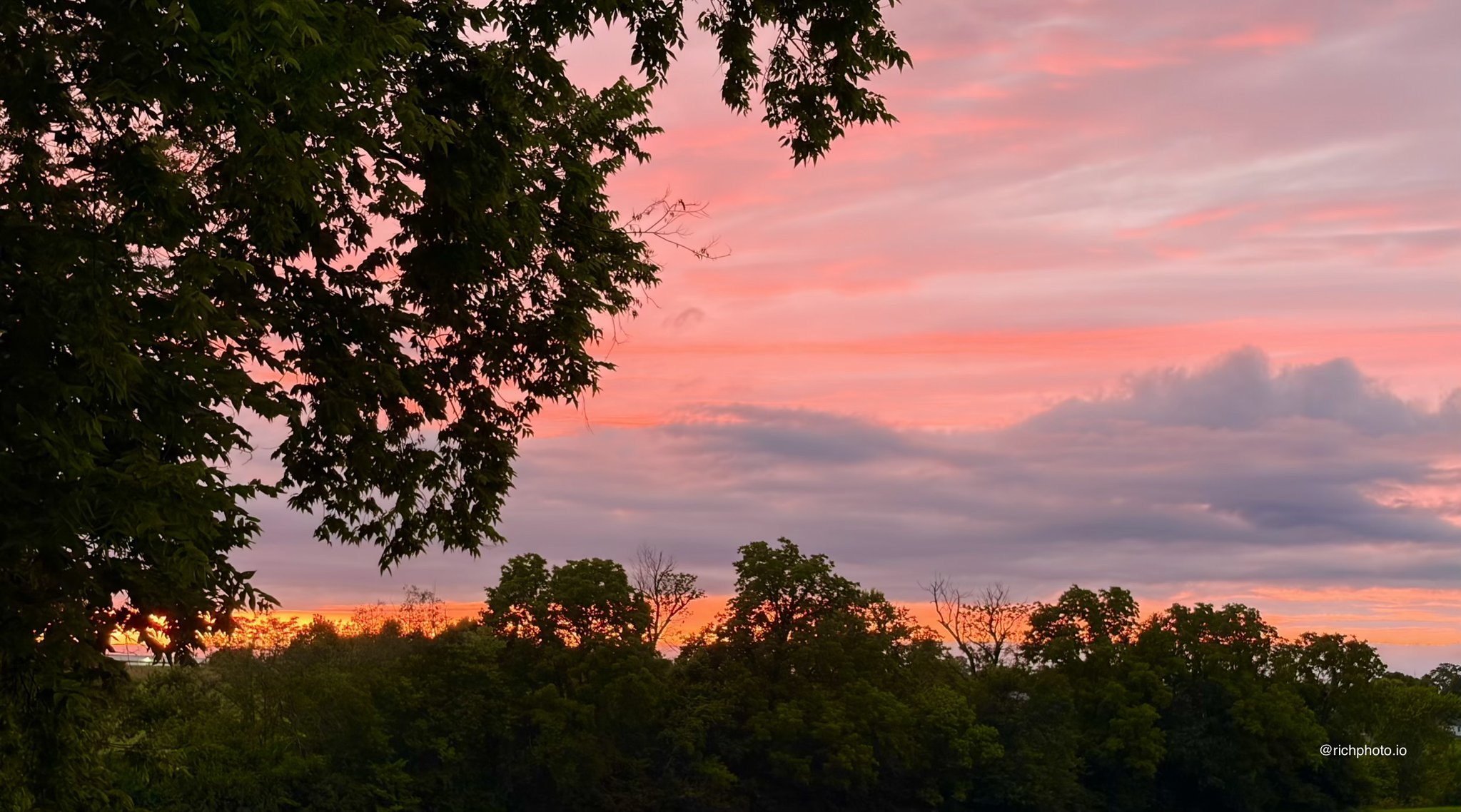 Lexington, KY