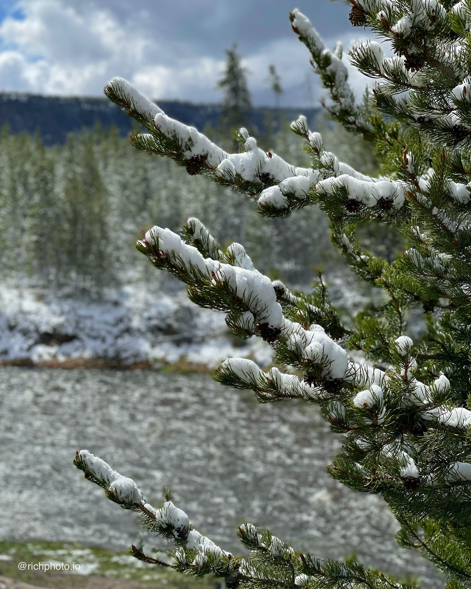 Yellowstone National Park