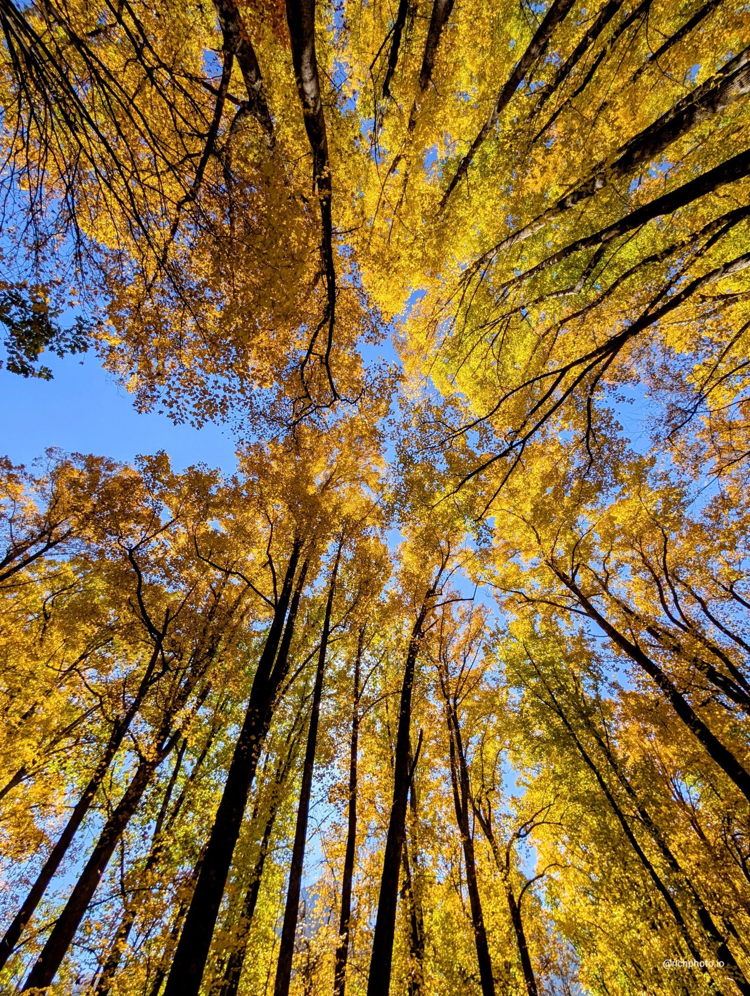 Great Smoky Mountains National Park