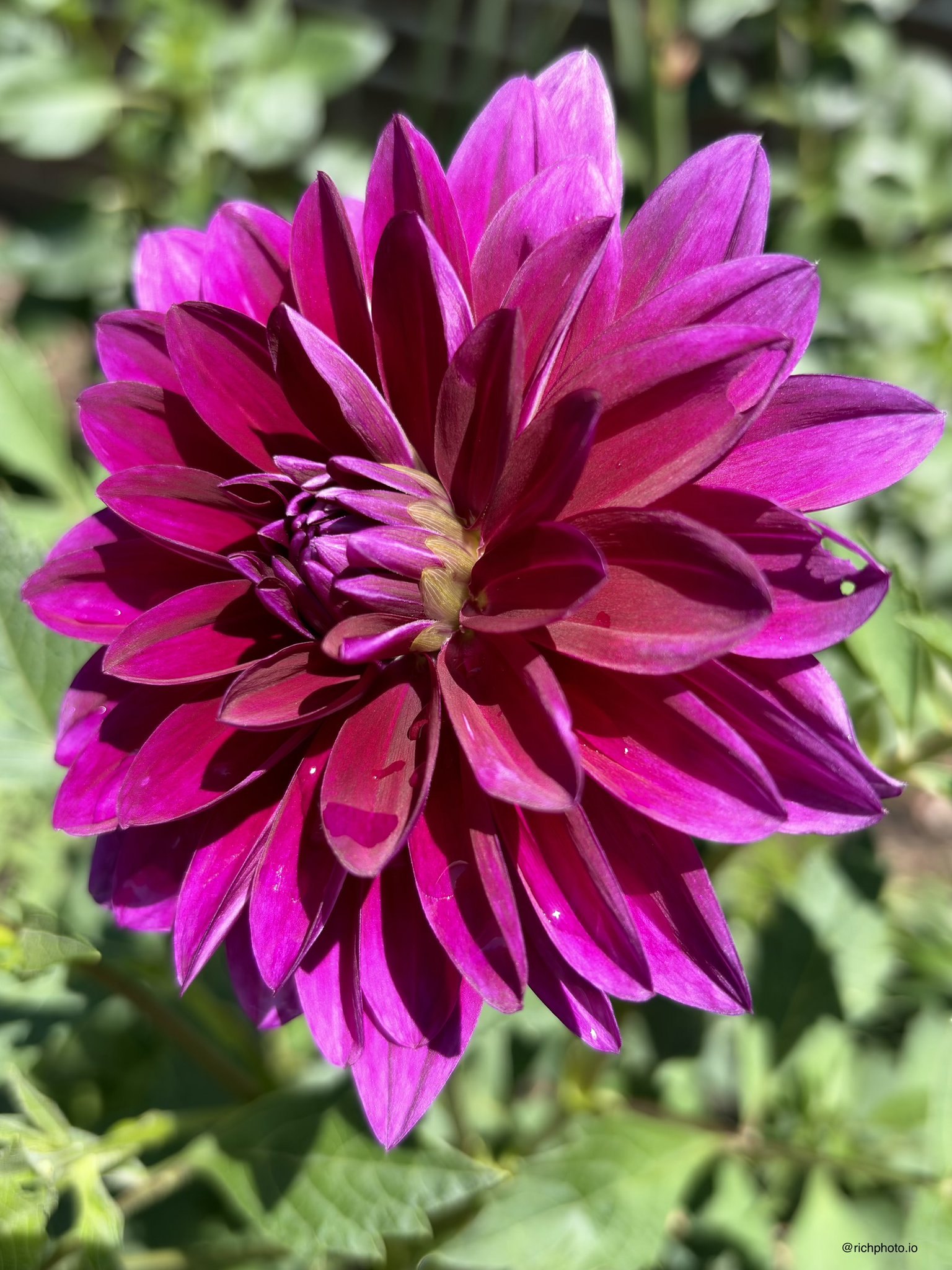Shot on iPhone Air