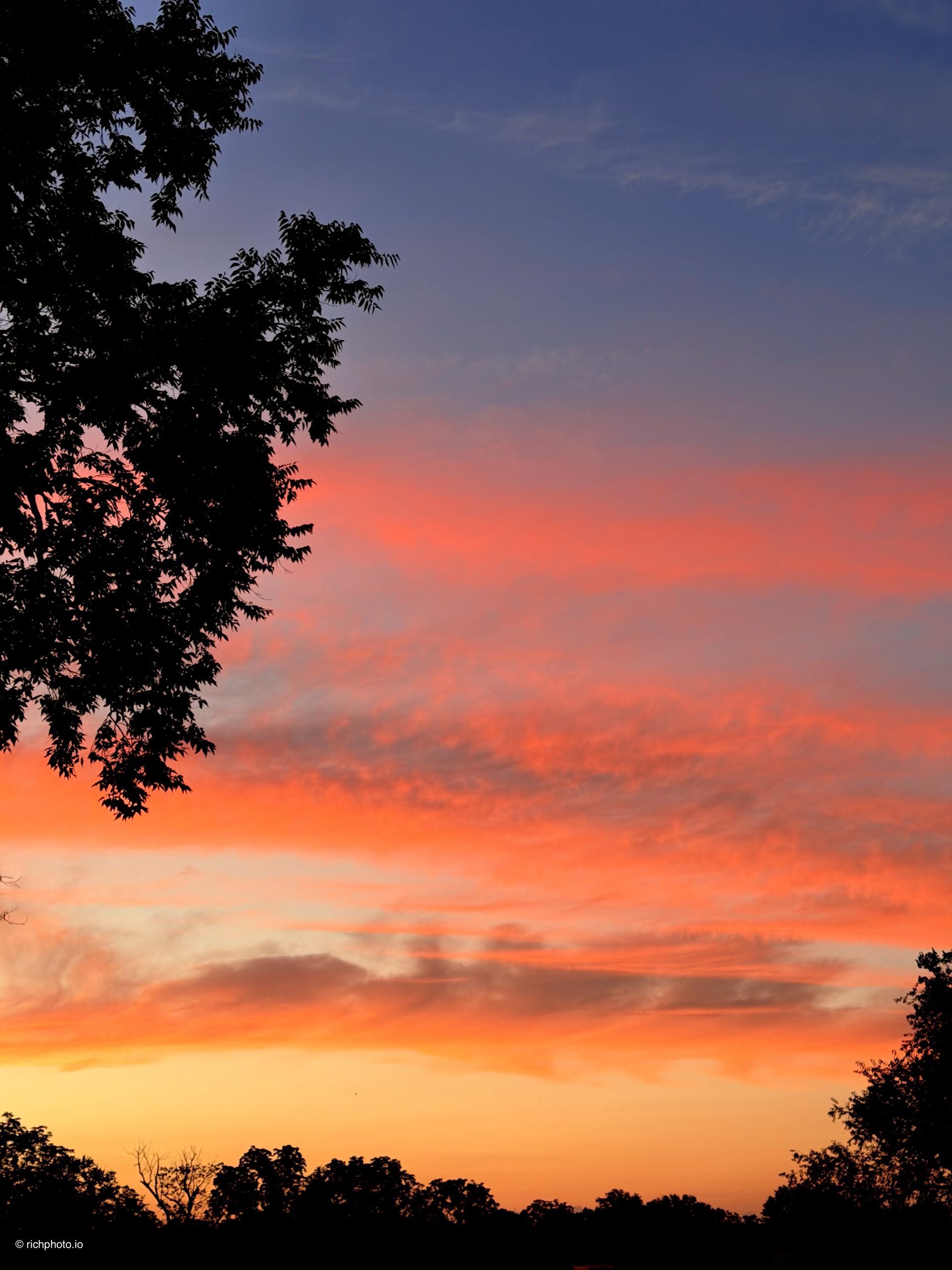 The Last Color, Lexington, Kentucky