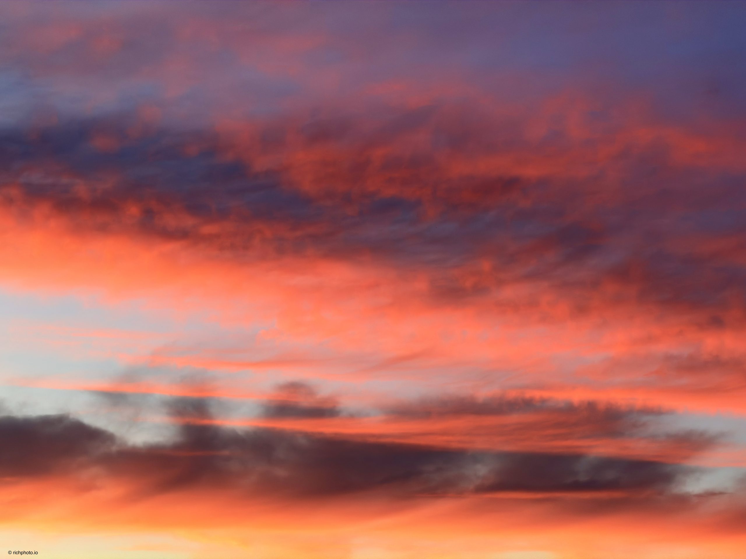 All That Color, Lexington, Kentucky