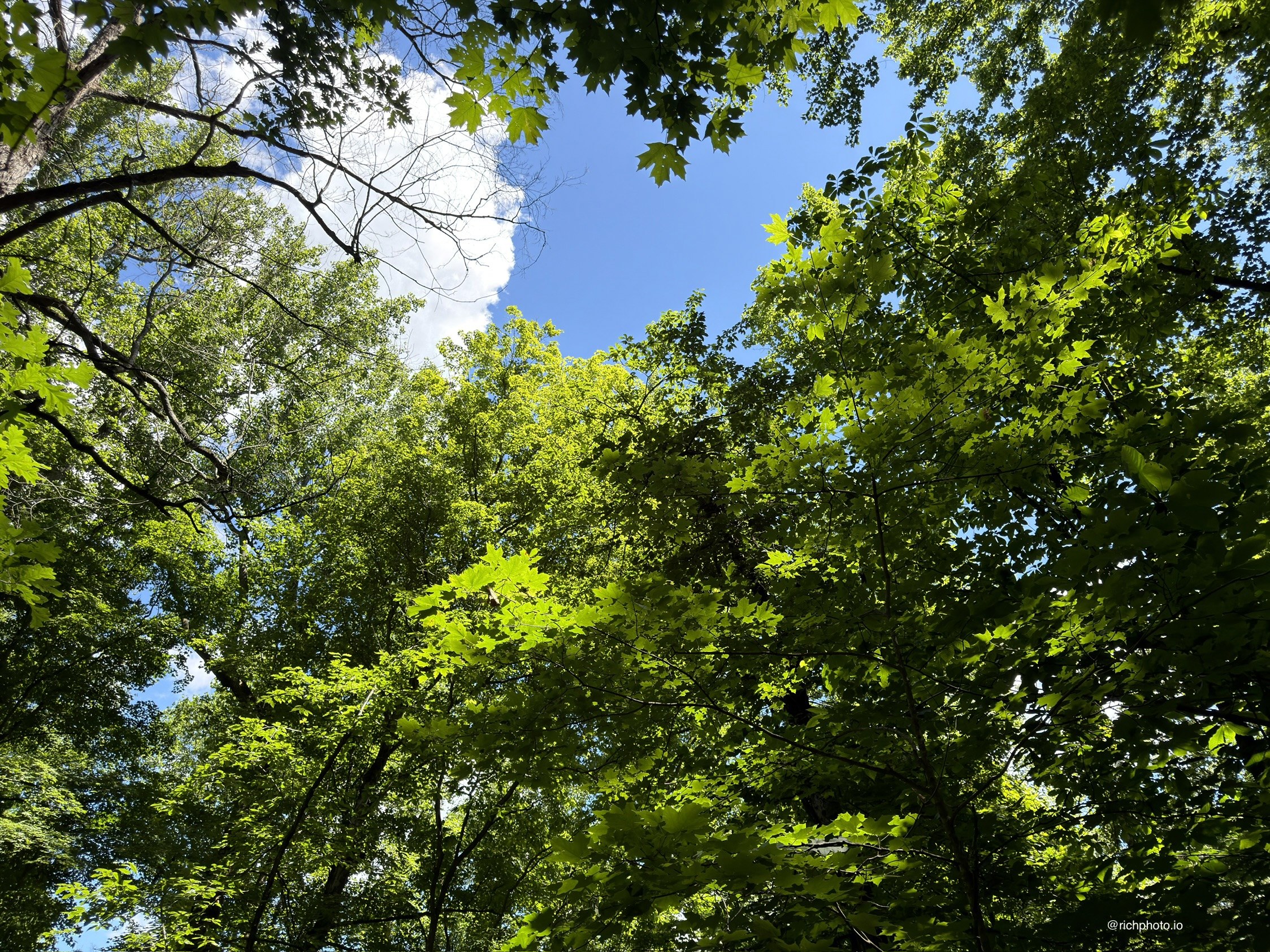 Kentucky Ceiling, Mammoth Cave National Park, Kentucky