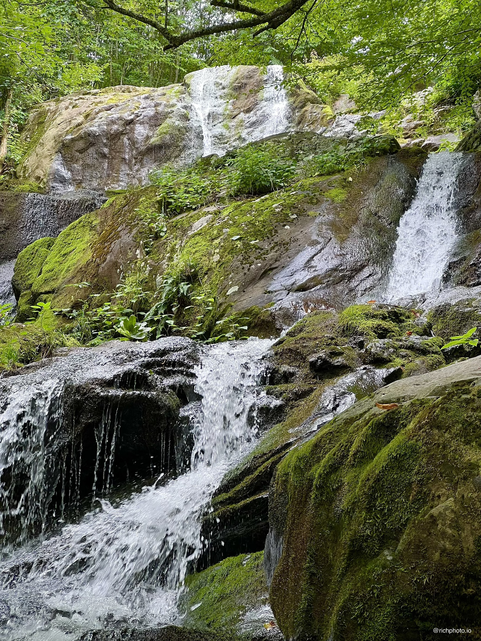 Green Water, Shenandoah National Park, Virginia