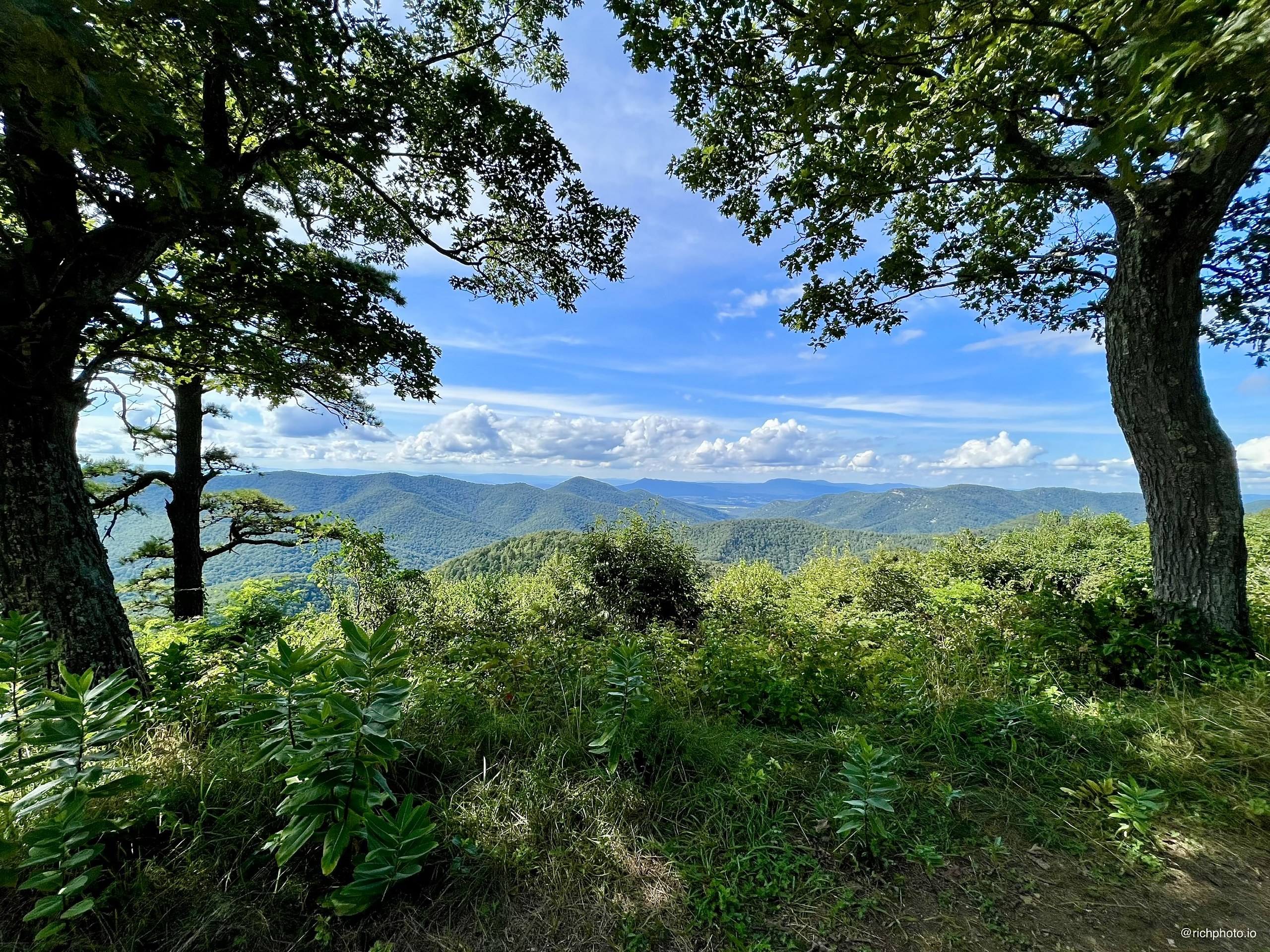 Between Two Trees, Shenandoah National Park, Virginia