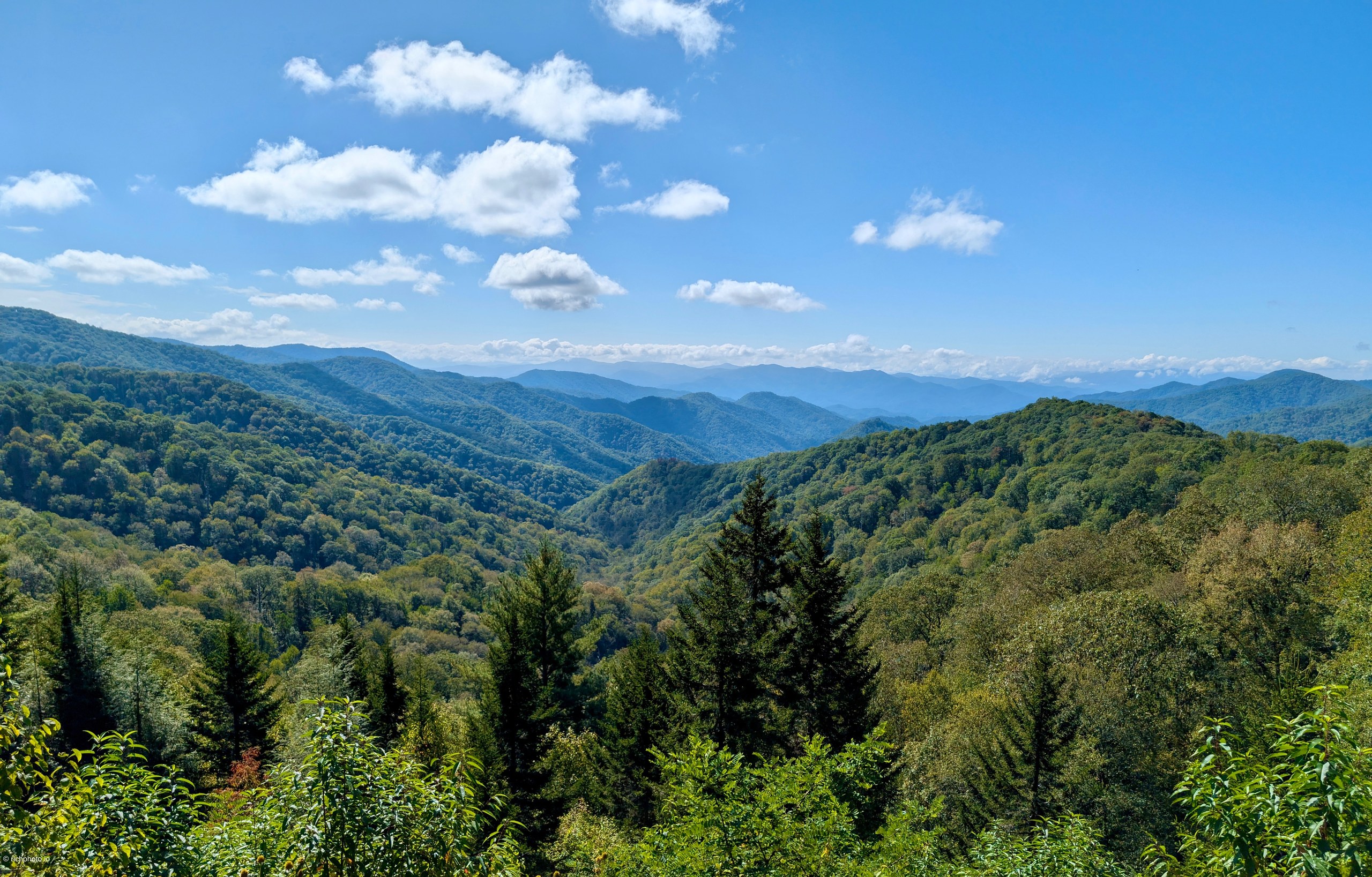 Stacked Green, Great Smoky Mountains National Park