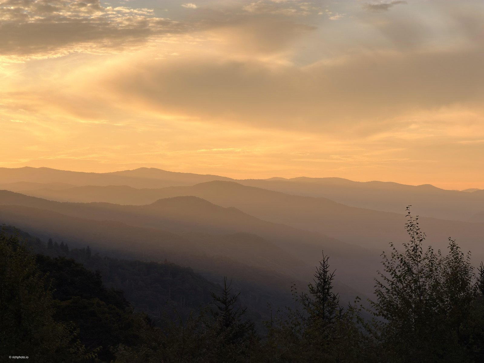 First Gold, Great Smoky Mountains National Park