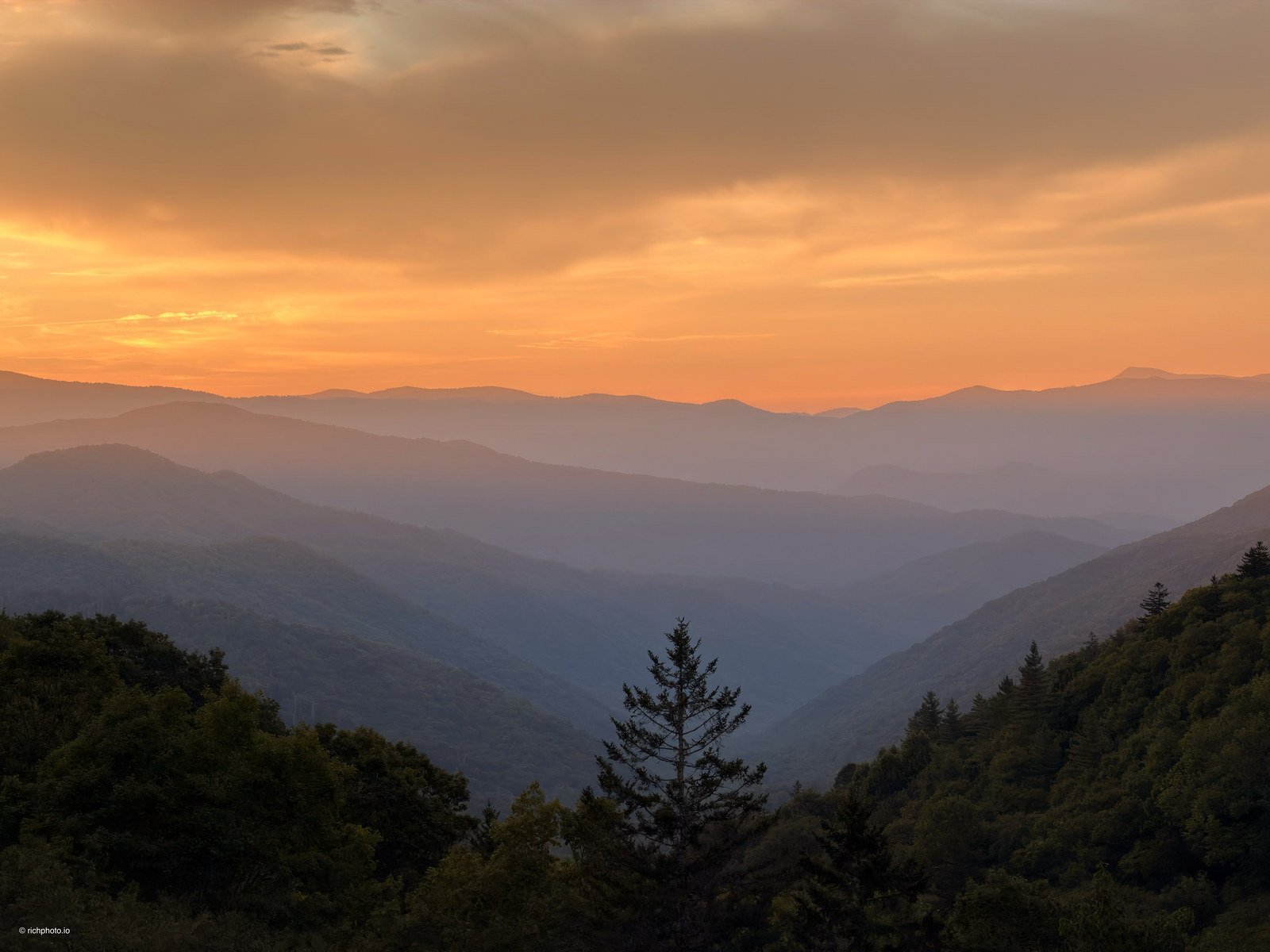 The Lone Fir, Great Smoky Mountains National Park