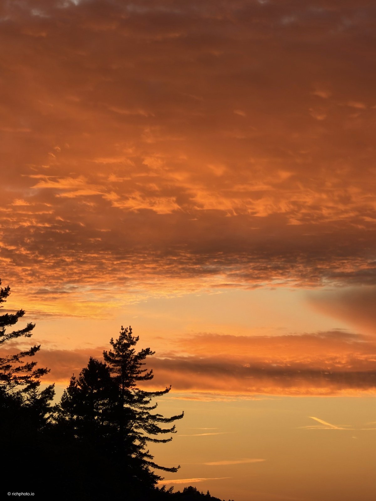 Orange Over Pines, Great Smoky Mountains National Park