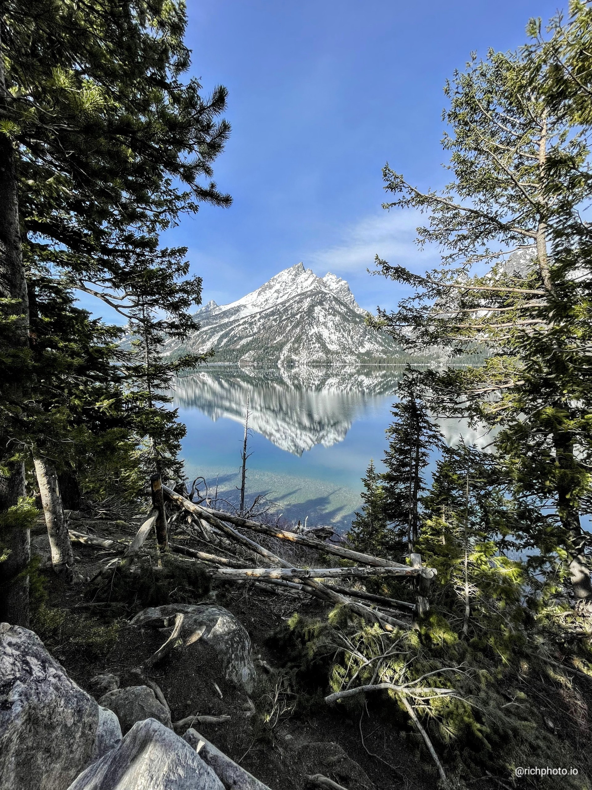Through the Trees, Grand Teton National Park, Wyoming